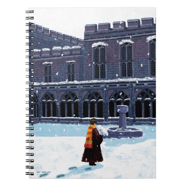 Carnet HARRY POTTER™ & Hedwig dans la cour de HOGWARTS™ (Devant)