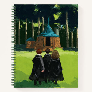 Carnet HARRY POTTER™, Ron et Hermione à la cabane de Hagr