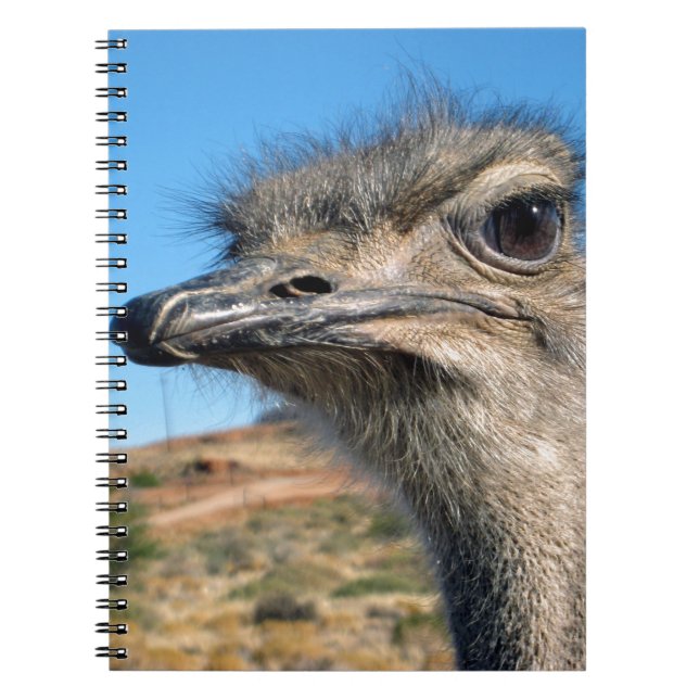Carnet Harry the Happy Ostrich (Devant)