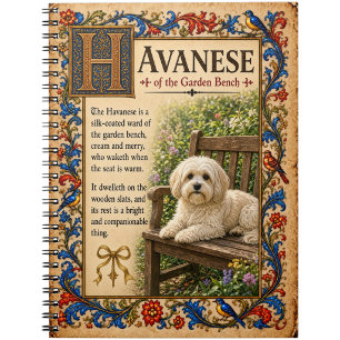 Carnet Havanais, Art de Bestiaire Médiéval