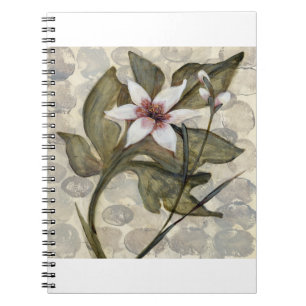 Carnet HAZ26 Amazonie 4.tif