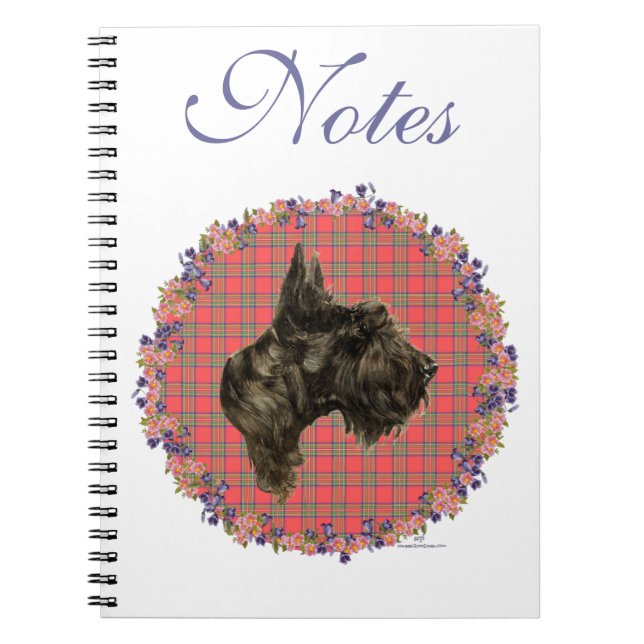 Carnet Head study on Tartan (Devant)