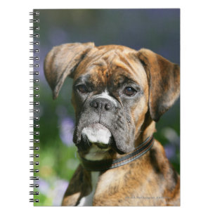Carnet Headshot de chien de boxeur