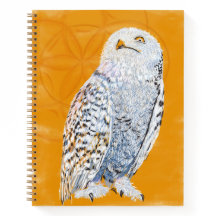 Hedwig