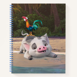 Carnet Heihei et Pua Playtime