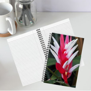 Carnet Héliconia floral rouge et blanc