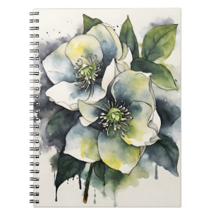 Carnet Hellebore - Fleurs aquarelle