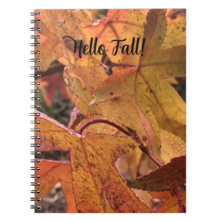 Carnet "Hello Fall!" Notebook