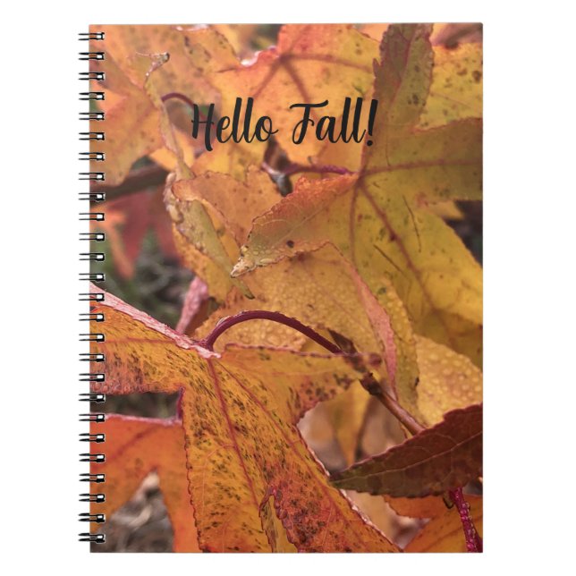 Carnet "Hello Fall!" Notebook (Devant)