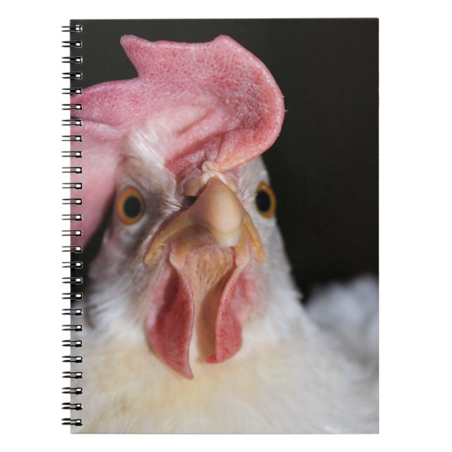 Carnet Hen (Devant)