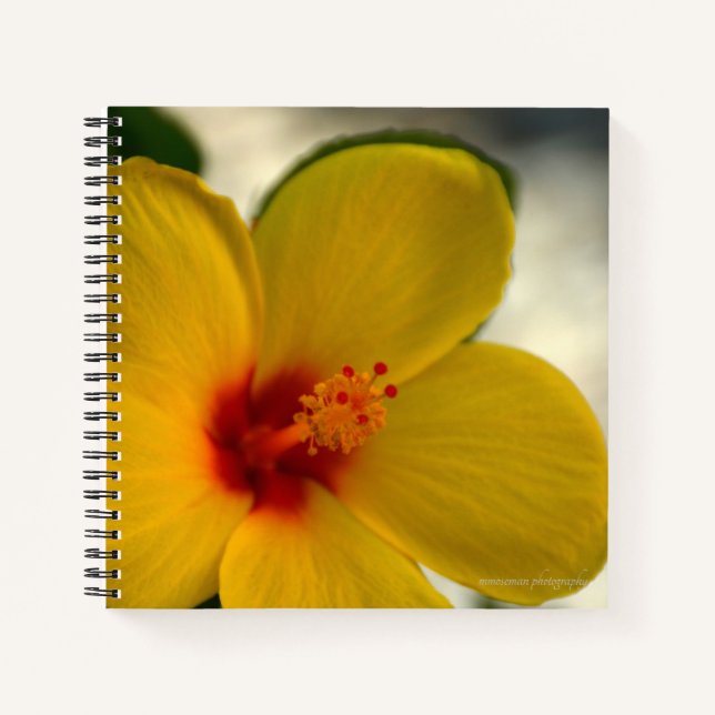Carnet Hibiscus jaune (Devant)