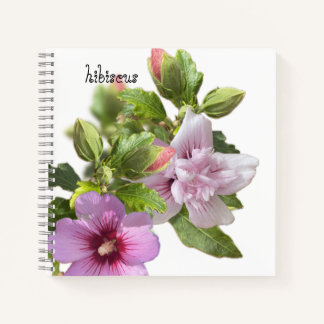 Carnet hibiscus rose