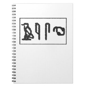 Carnet Hiéroglyphes du cerveau