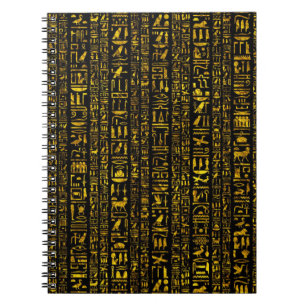 Carnet Hiéroglyphes égyptiens anciens or et couleur noire