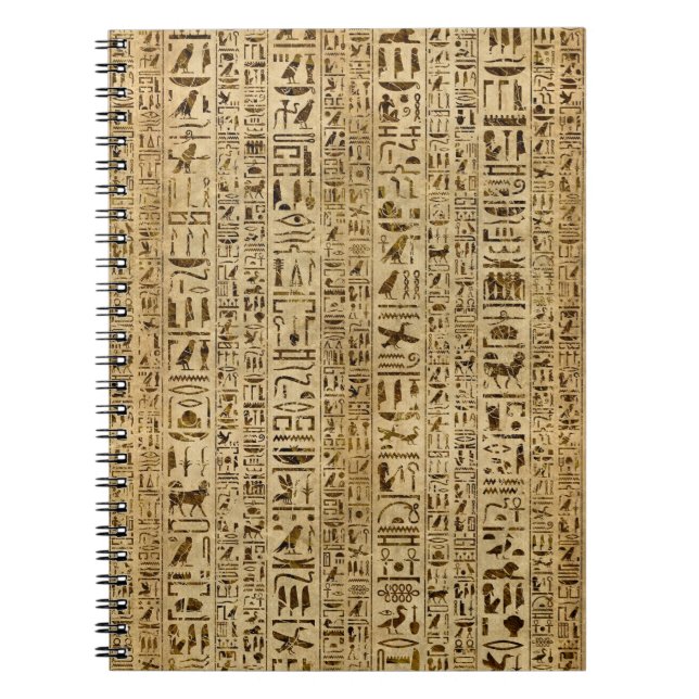 Carnet Hiéroglyphes égyptiens sur le papyrus (Devant)