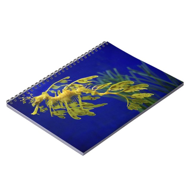 Carnet Hippocampe (Côté gauche)