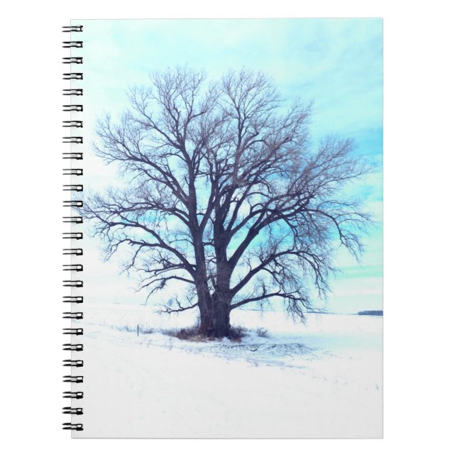 Carnet Hiver bleu (Devant)