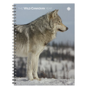 Carnet Hiver - Loup