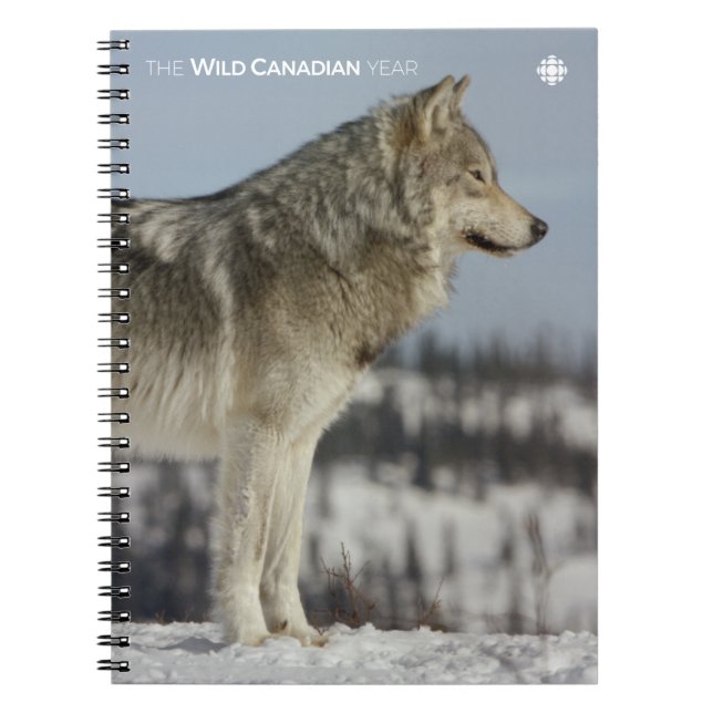 Carnet Hiver - Loup (Devant)