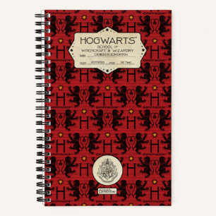 Carnet HOGWARTS™ School GRYFFINDOR™-Klasse
