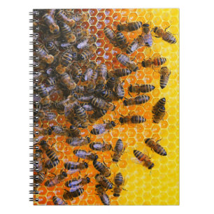CARNET HONEY BEES