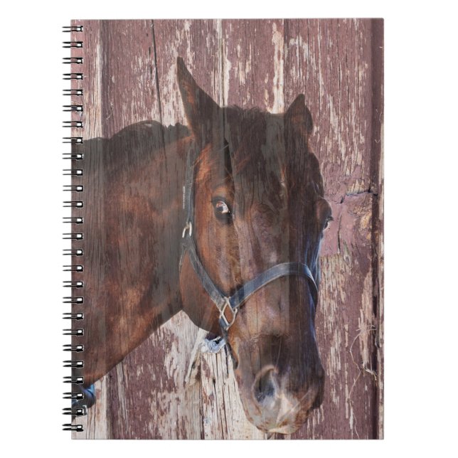 Carnet Horse Head western Regardez dans ses yeux. (Devant)