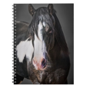 Carnet Horse Portrait II