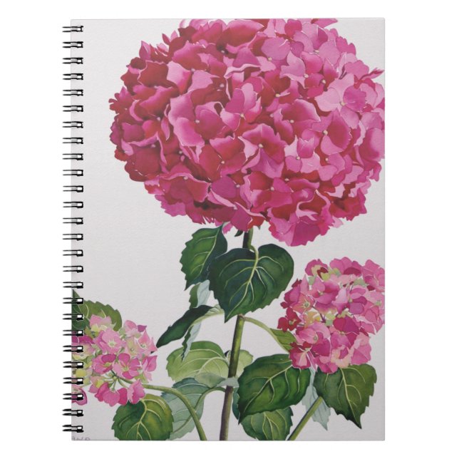 Carnet Hortensia (Devant)