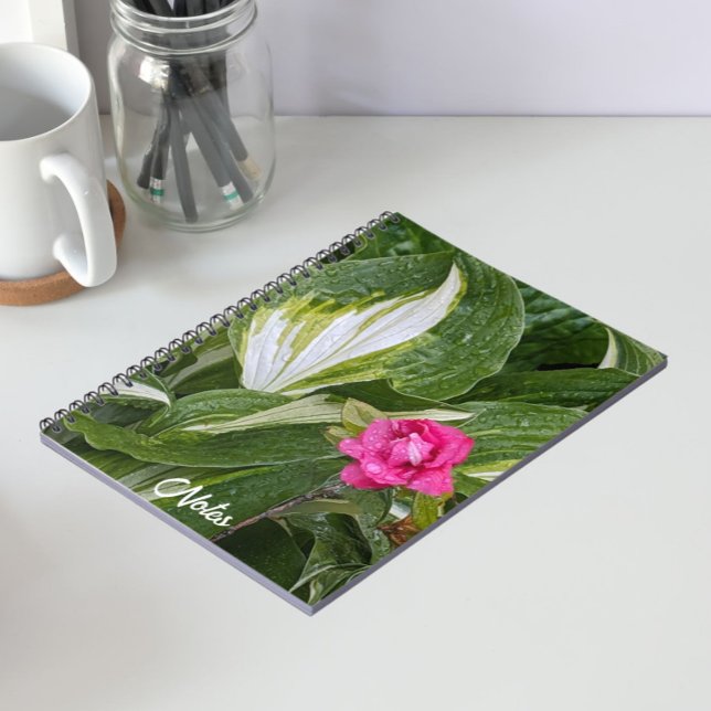 Carnet Hosta Plante et rose Azalea Floral (In Situ)