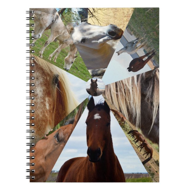 Carnet Huit Triangles Cheval, Ordinateur Portable (Devant)