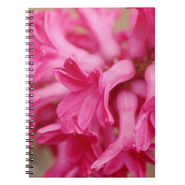Carnet Hyacinth rose (Devant)