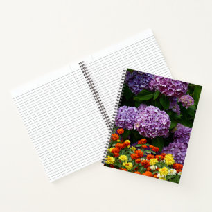 Carnet Hydrangea Rose et Fleurs Colorées de Zinnia Floral