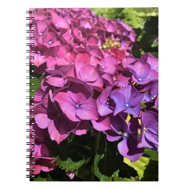 Carnet Hydrangée (Devant)