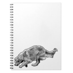 Carnet Idées avec un coureur à lunettes