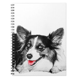 Carnet Idées lumineuses avec un Corgi pas cher