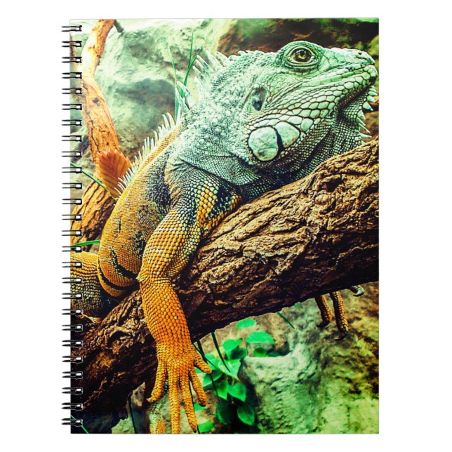 Carnet Iguana (Devant)