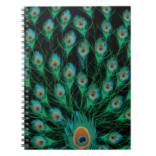 Carnet Illustration avec des plumes de paon sur le noir