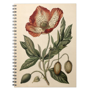 Carnet Illustration botanique du pavot vintage