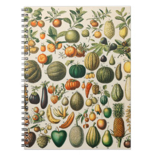 Carnet Illustration botanique scientifique de fruits et l