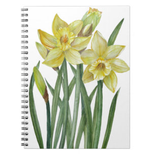 Carnet Illustration de l'aquarelle Daffodils Flower Portr