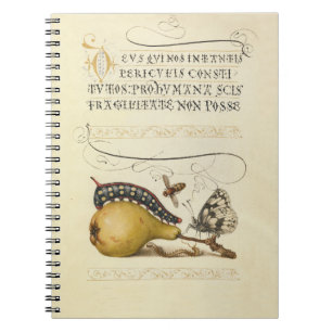 Carnet Illustration de l'insecte du fruit du papillon