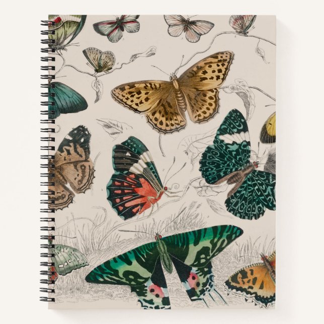 Carnet Illustration de papillon antique : 1820 Orfèvre (Devant)