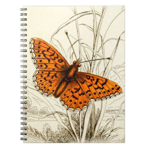 Carnet Illustration de papillon vintage, orange et noir