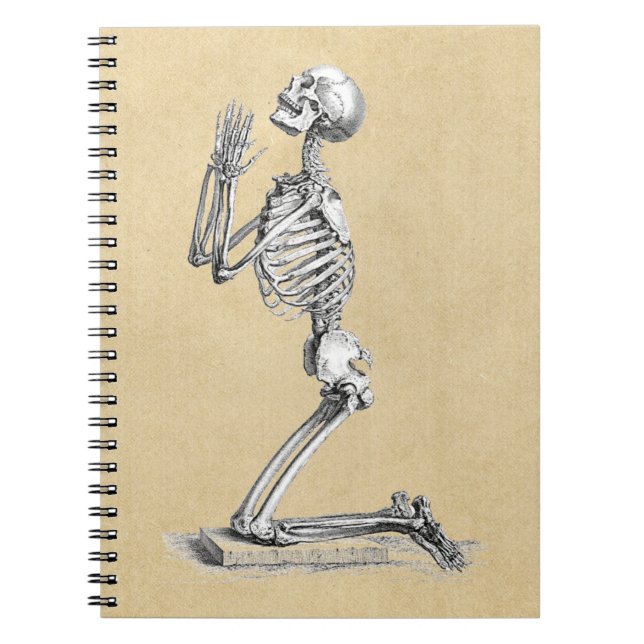 Carnet Illustration de squelette anatomique (Devant)