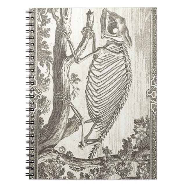 Carnet Illustration de squelette de caméléon (Devant)