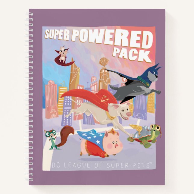 Carnet Illustration de Super Powered Pack Metropolis (Devant)