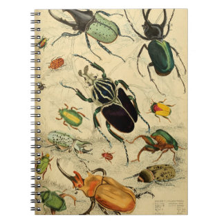 Carnet Illustration des coléoptères vintages