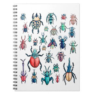 Carnet Illustration du coléoptère de style vintage aqua