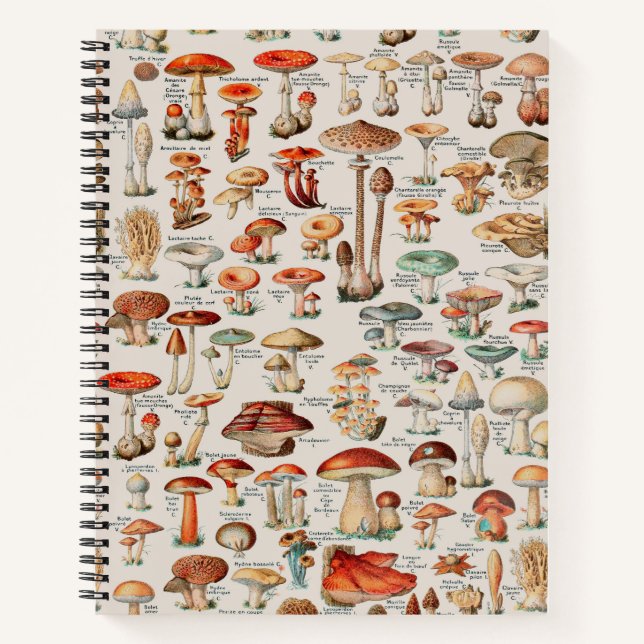 Carnet Illustration I du champignon vintage (Devant)