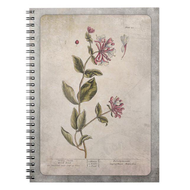 Carnet Illustration vintage avec texture (Devant)